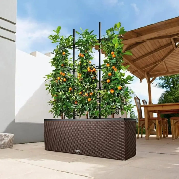 Саксия Lechuza 100 x 32 x 34 cm Пластмаса Квадратен