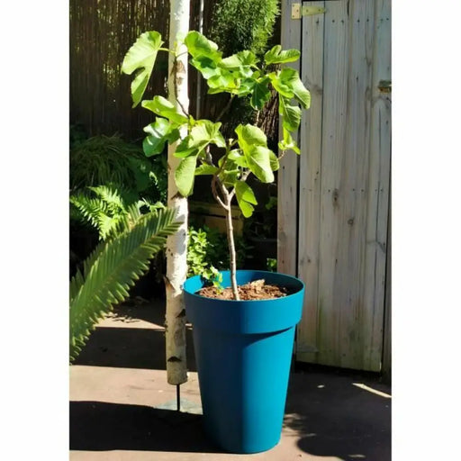 Саксия Riss 53 cm Син Пластмаса