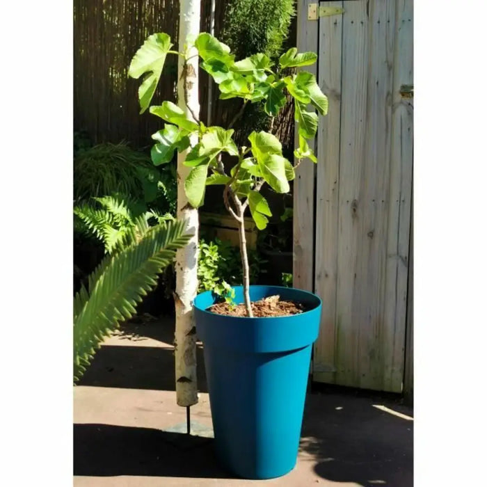 Саксия Riss 53 cm Син Пластмаса
