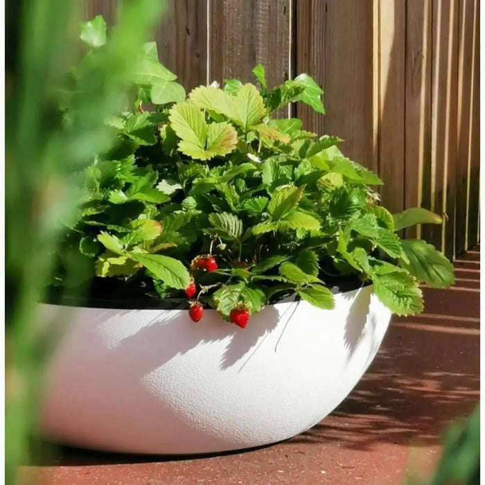 Саксия Riviera Бял Ø 40 cm