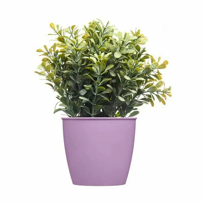 Саксия Stefanplast Academy Пластмаса 11,3 x 10 x 11,3 cm