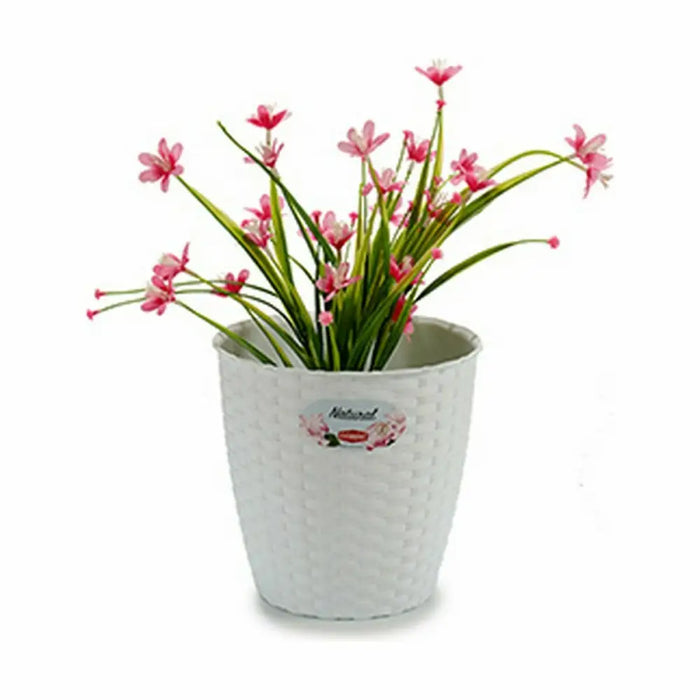 Саксия Stefanplast Бял Пластмаса 19 x 17,5 x 19 cm (12 броя)
