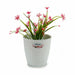 Саксия Stefanplast Бял Пластмаса 19 x 17,5 x 19 cm (12 броя)