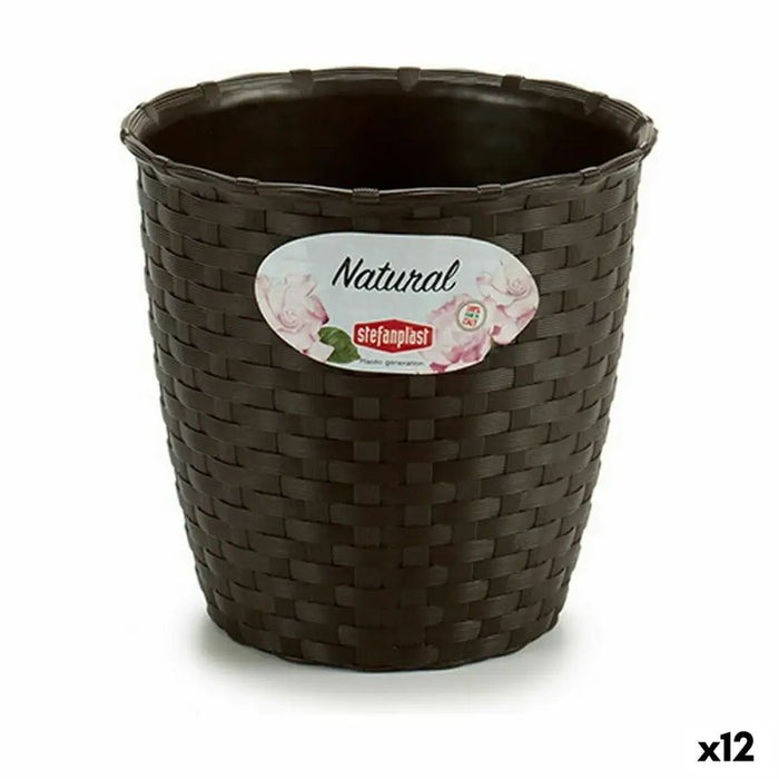 Саксия Stefanplast Пластмаса 14 x 13 x 14 cm (12 броя)