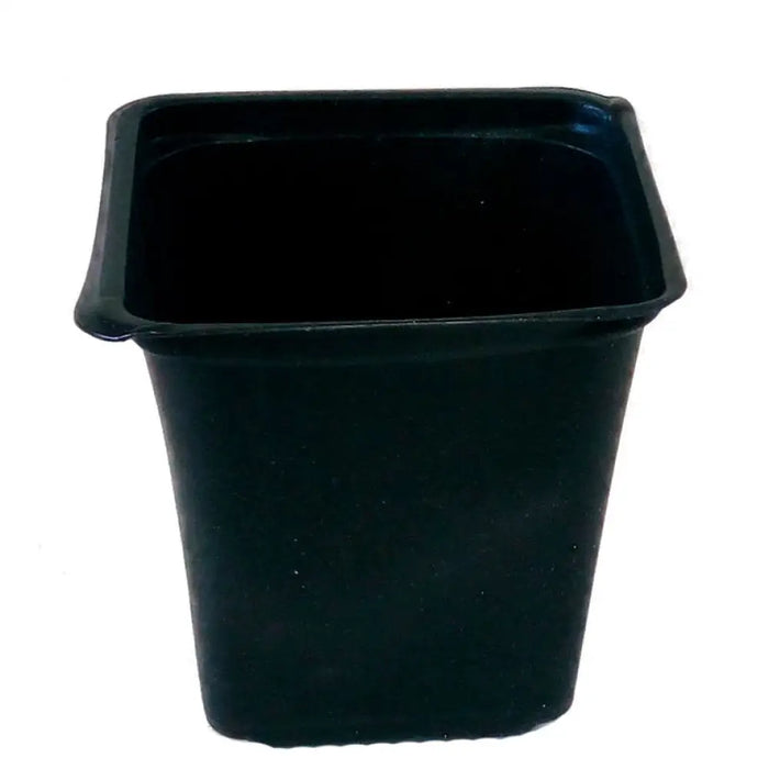 САКСИЯ ЗА РАЗСАД 8X8X8XCM