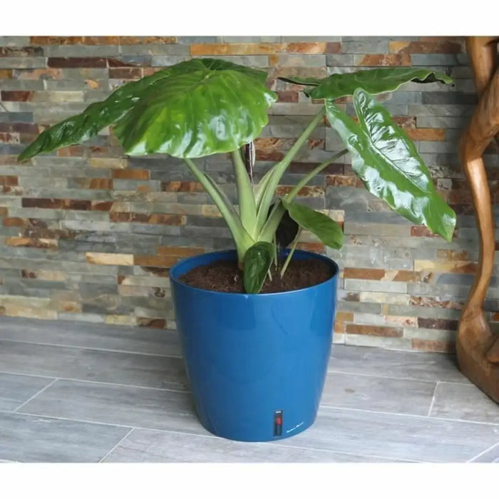 Саксия Riss RIV3580796331061 Ø 30 cm