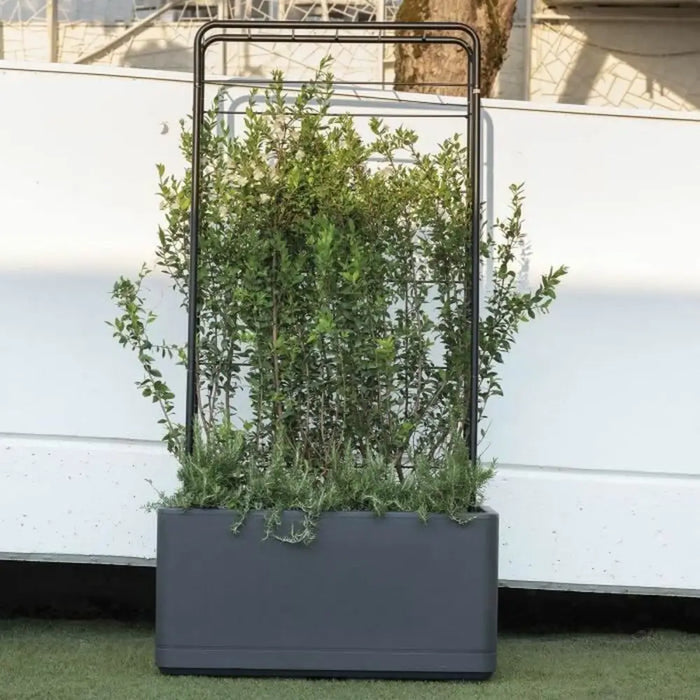 Самополиваща Сеялка Deroma Антрацит 78 x 38 x 39 cm
