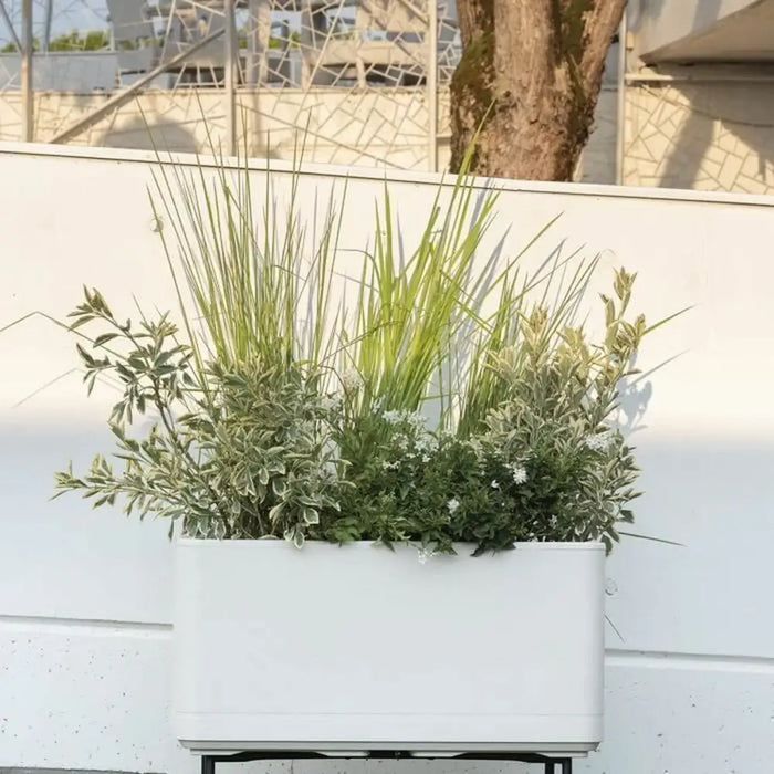 Самополиваща Сеялка Deroma Перла 78 x 38 x 39 cm Пластмаса