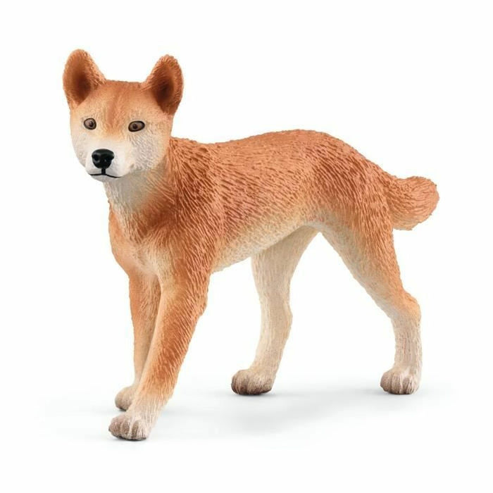 Playset Schleich Adventures in Oceania 9 Части