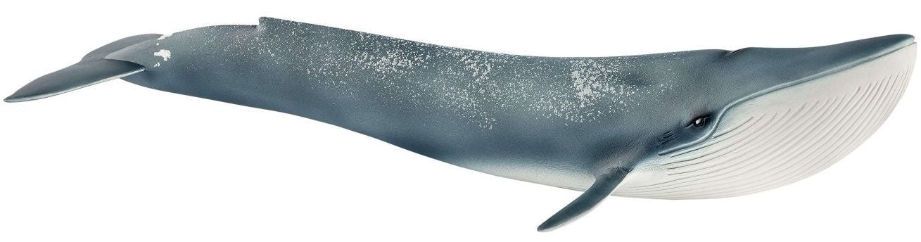 Фигурка Schleich Wild Life - Син кит