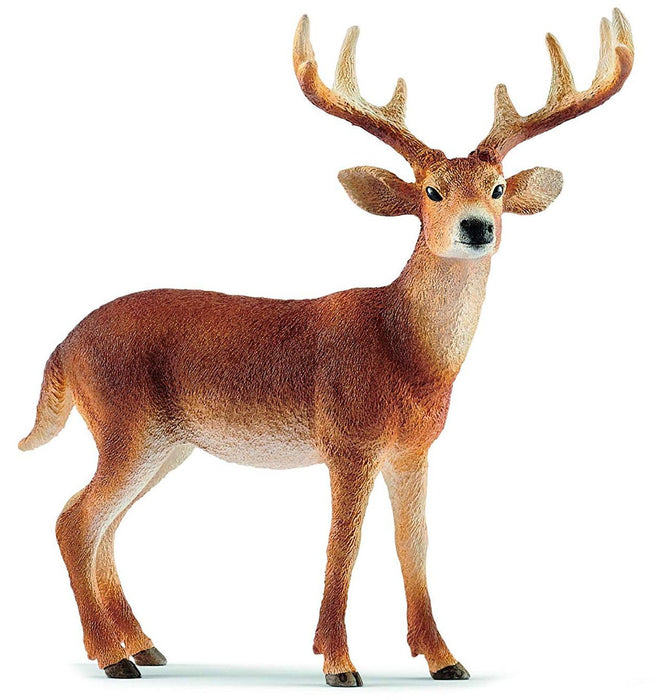 Фигурка Schleich Wild Life America - Белоопашат елен