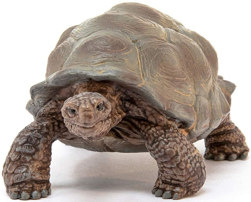 Фигурка Schleich Wild Life - Гигантска костенурка