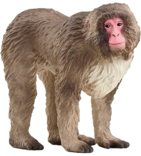 Фигура Schleich Wild Life - Японски макак