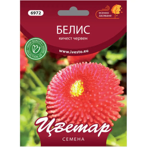 СЕМЕНА БЕЛИС КИЧЕСТ ЧЕРВЕН ЦВЕТАР