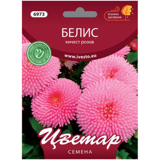 СЕМЕНА БЕЛИС КИЧЕСТ РОЗОВ ЦВЕТАР
