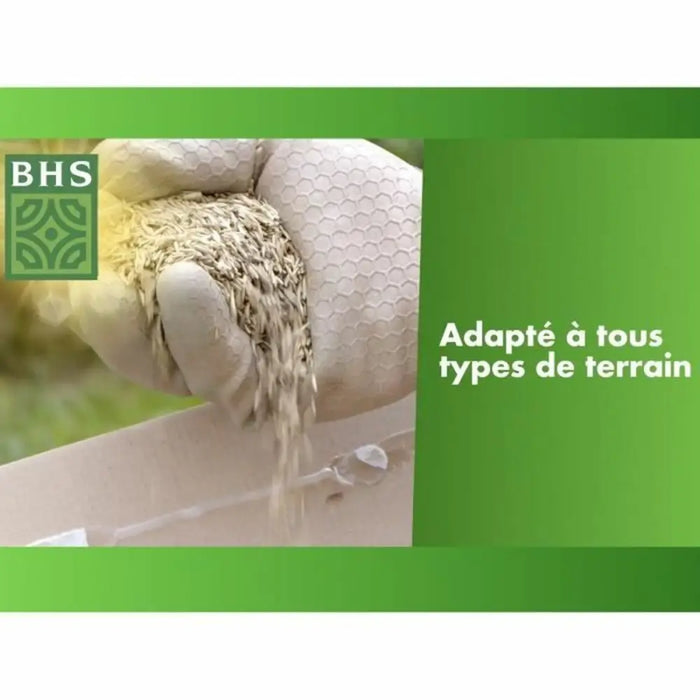 Семена BHS 1 kg
