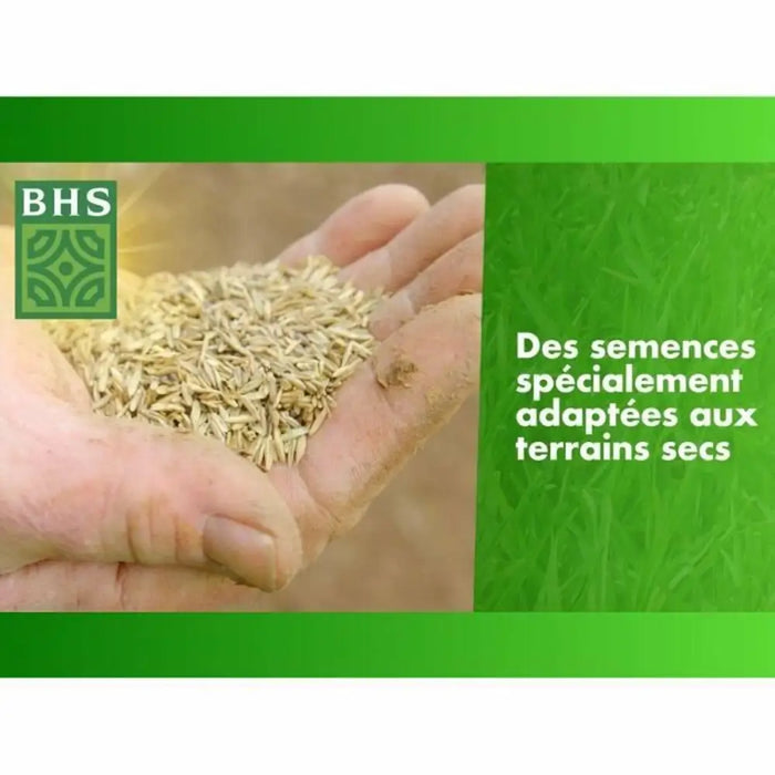 Семена BHS 3 Kg