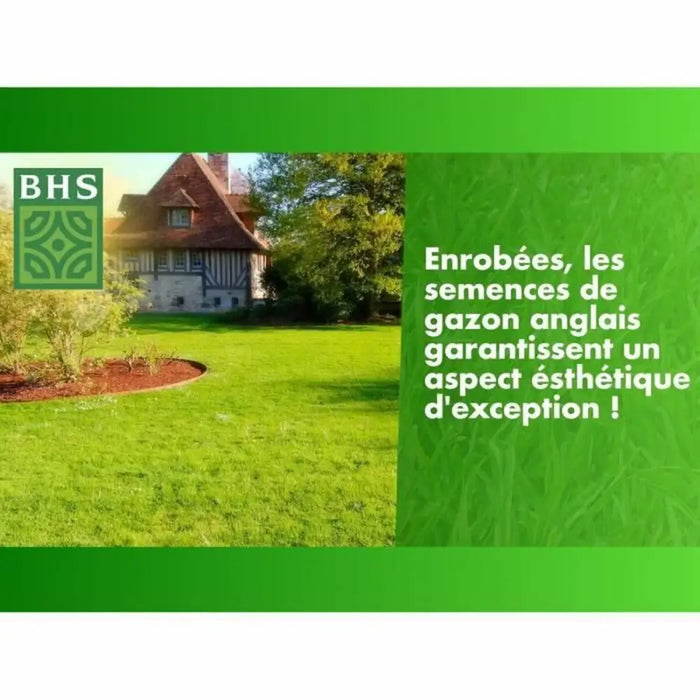 Семена BHS Gazon Anglais 10 kg