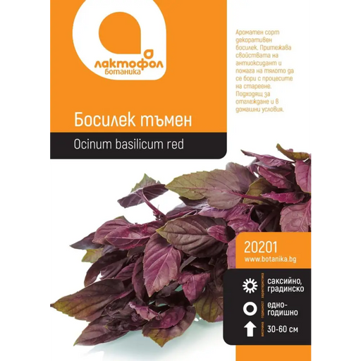 СЕМЕНА БОСИЛЕК ТЪМЕН БОТАНИК