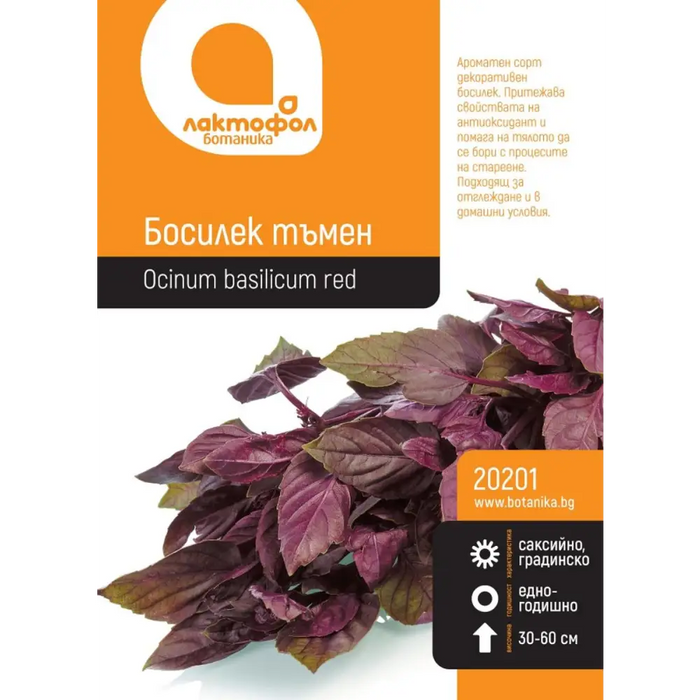 СЕМЕНА БОСИЛЕК ТЪМЕН БОТАНИК