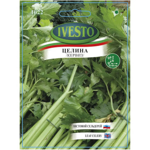 СЕМЕНА ЦЕЛИНА ЛИСТНА IVESTO