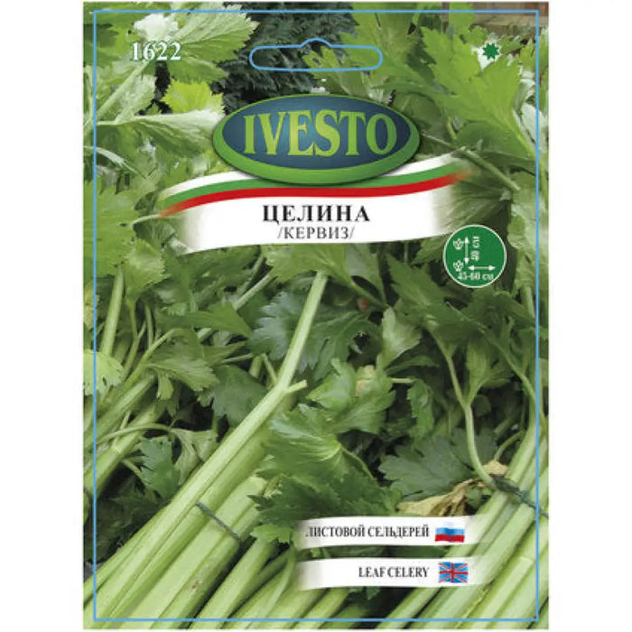 СЕМЕНА ЦЕЛИНА ЛИСТНА IVESTO