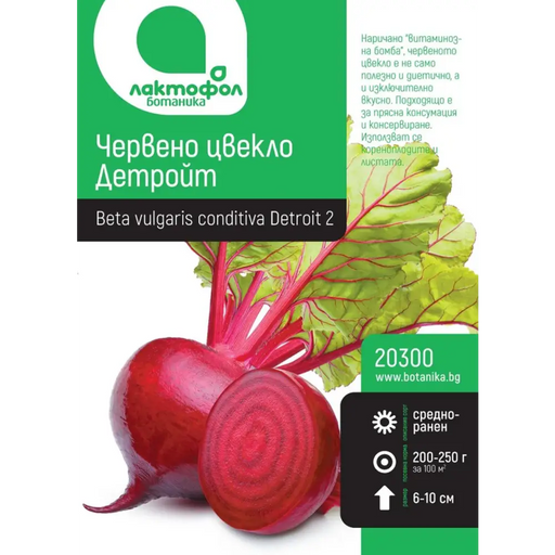 СЕМЕНА ЧЕРВЕНО ЦВЕКЛО ДЕТРОЙТ БОТАНИК