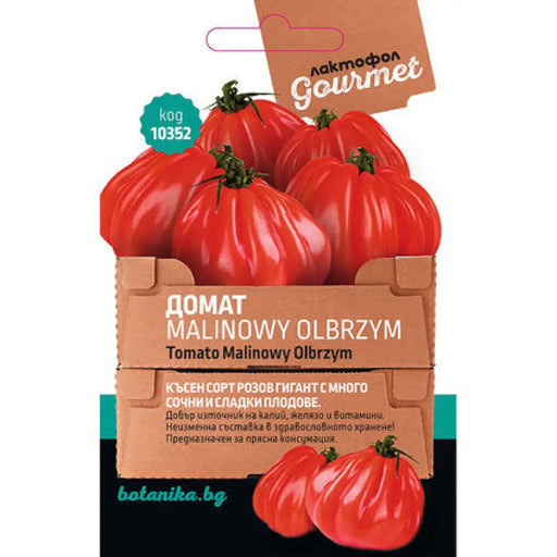 СЕМЕНА ДОМАТ MALINOWY OLBRZYM GOURMET