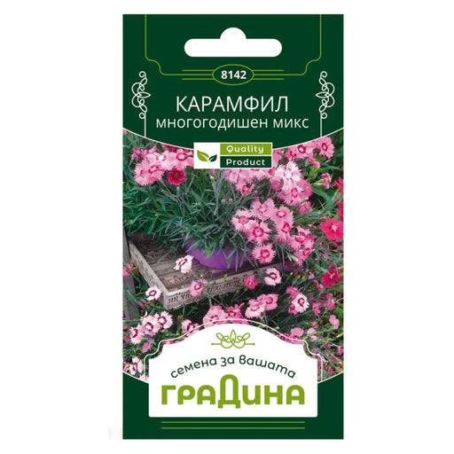 СЕМЕНА КАРАМФИЛ МНОГОГОДИШЕН ГРАДИНА