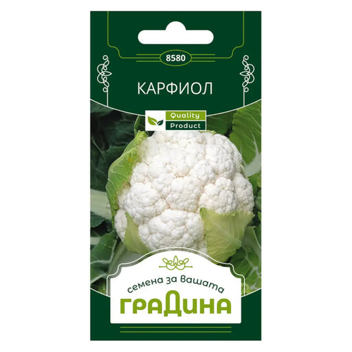 СЕМЕНА КАРФИОЛ ГРАДИНА