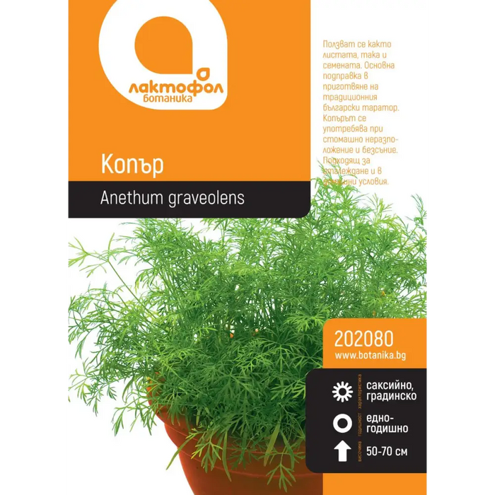 СЕМЕНА КОПЪР БОТАНИК