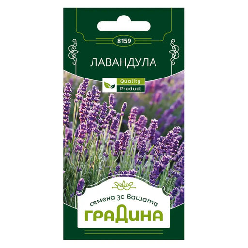 СЕМЕНА ЛАВАНДУЛА ГРАДИНА