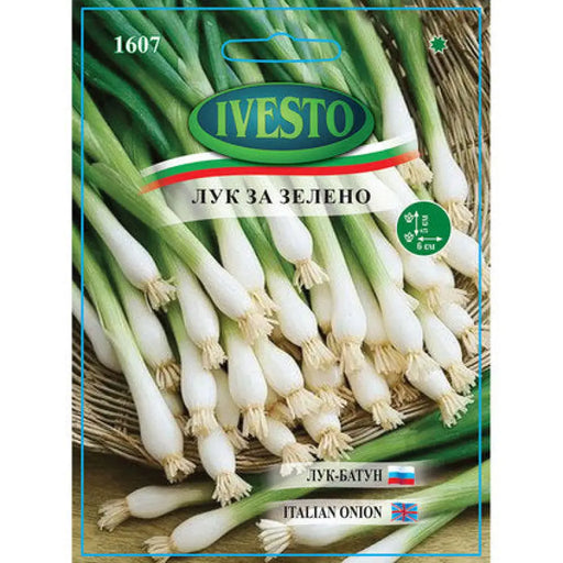 СЕМЕНА ЛУК ЗА ВРЪЗКИ SHAVEL IVESTO