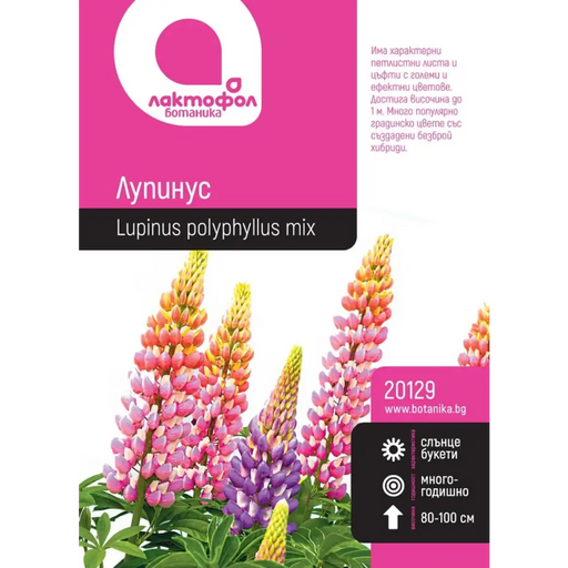СЕМЕНА ЛУПИНУС БОТАНИК