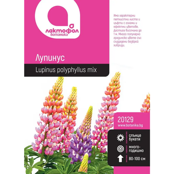СЕМЕНА ЛУПИНУС БОТАНИК