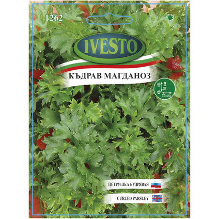 СЕМЕНА МАГДАНОЗ КЪДРАВ IVESTO