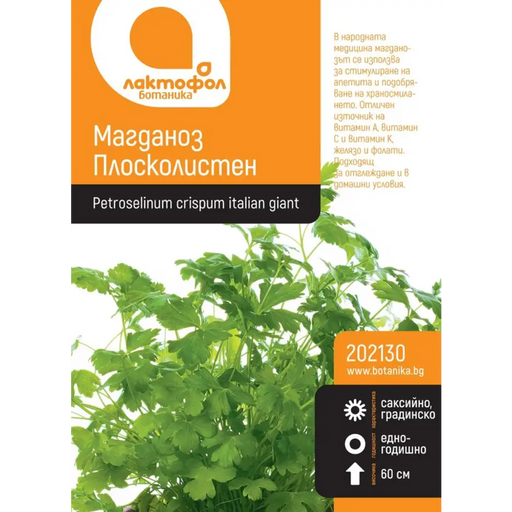 СЕМЕНА МАГДАНОЗ ПЛОСКОЛИСТЕН БОТАНИК