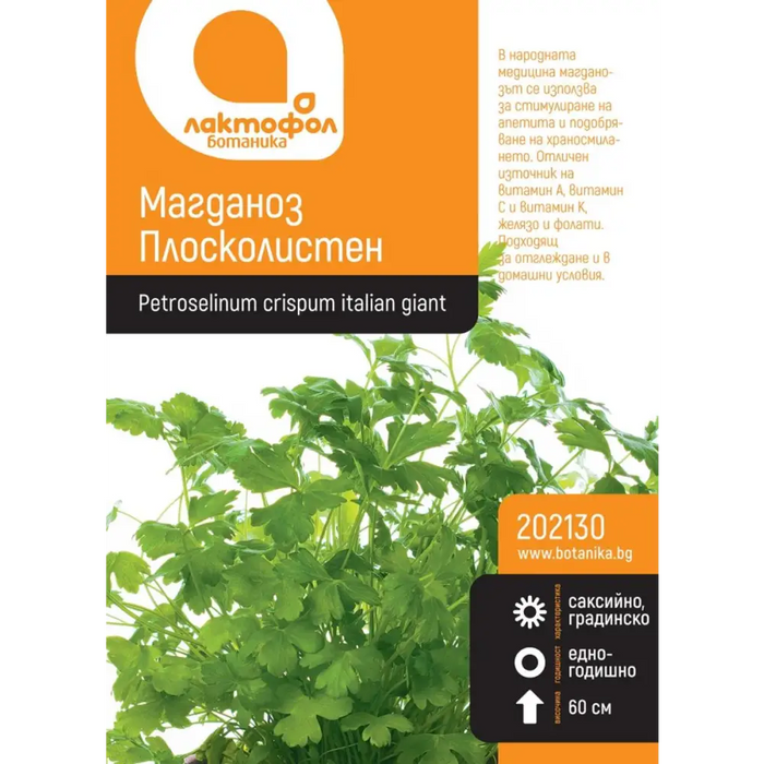 СЕМЕНА МАГДАНОЗ ПЛОСКОЛИСТЕН БОТАНИК