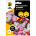СЕМЕНА МАРГАРИТКА ШАРЕНА BEE HAPPY