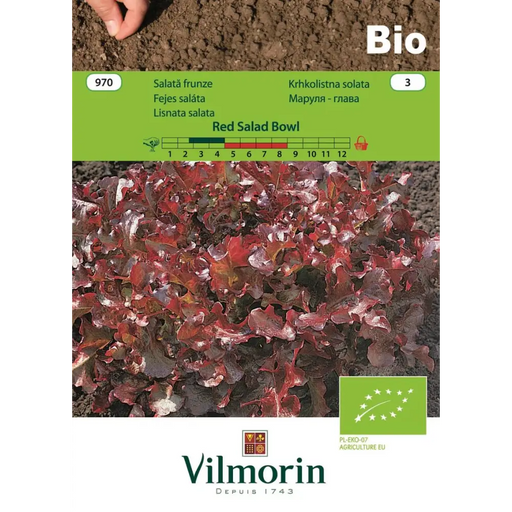 СЕМЕНА МАРУЛЯ ЛИСТ.RED SAL.БИО ВИ