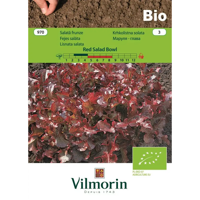 СЕМЕНА МАРУЛЯ ЛИСТ.RED SAL.БИО ВИ