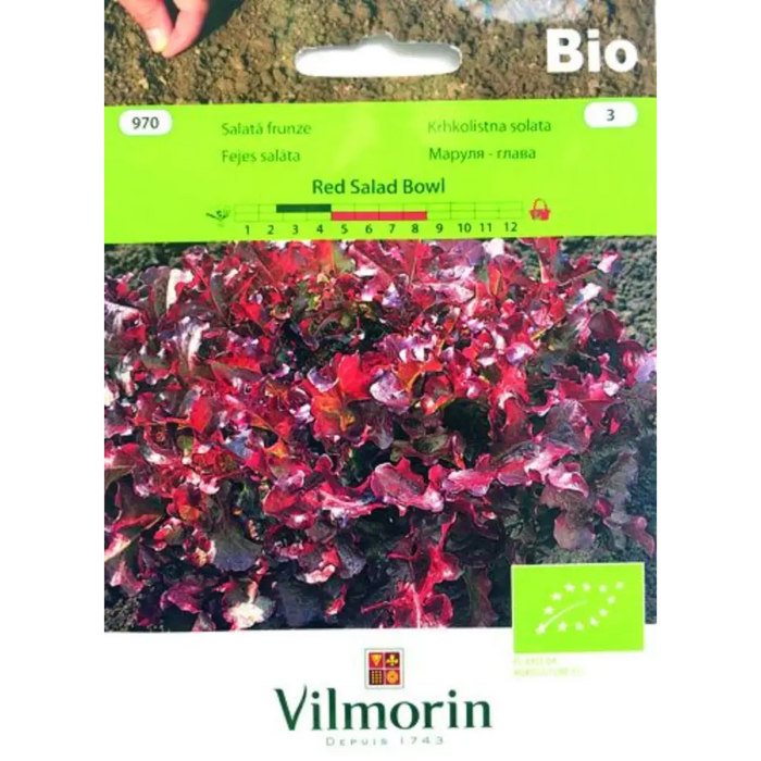 СЕМЕНА МАРУЛЯ ЛИСТ.RED SAL.БИО ВИ