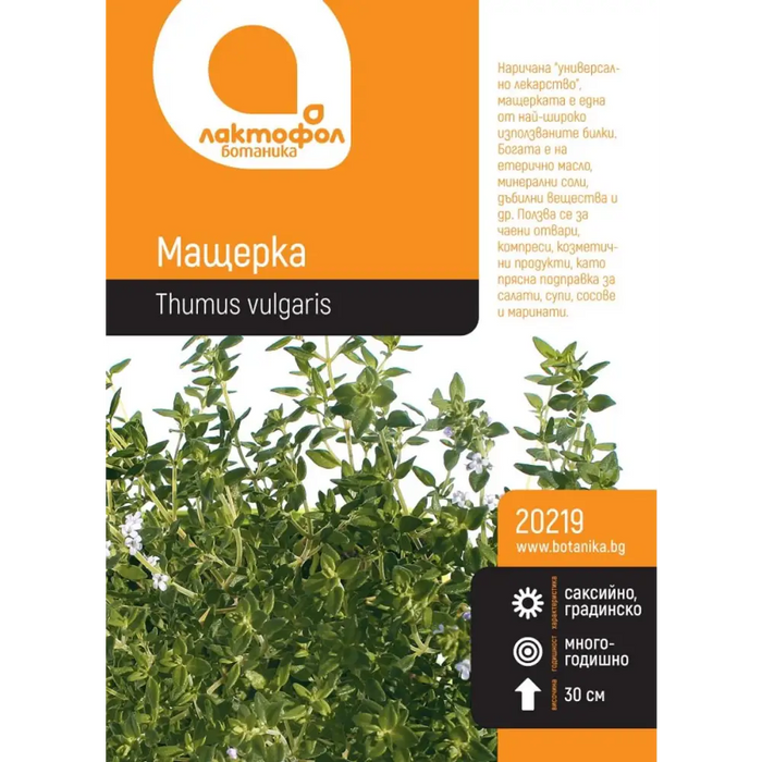 СЕМЕНА МАЩЕРКА БОТАНИК