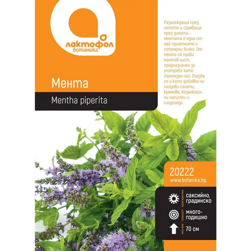 СЕМЕНА МЕНТА БОТАНИК