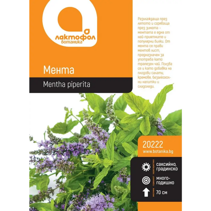 СЕМЕНА МЕНТА БОТАНИК