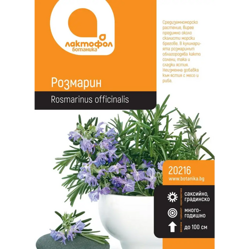 СЕМЕНА РОЗМАРИН БОТАНИК