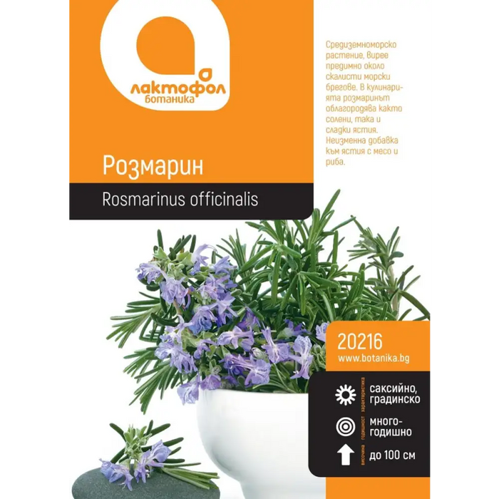 СЕМЕНА РОЗМАРИН БОТАНИК