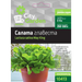 СЕМЕНА САЛАТА CITY GARDEN