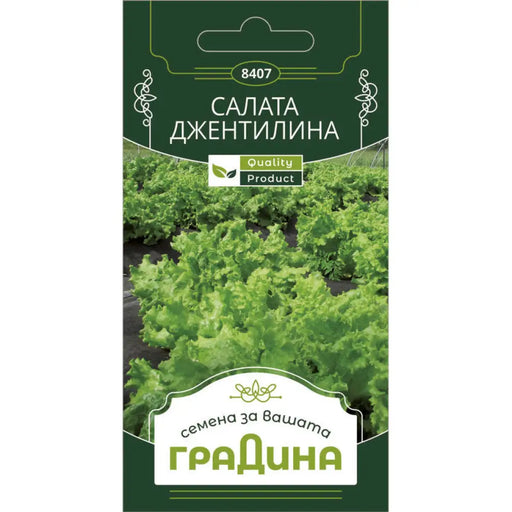 СЕМЕНА САЛАТА ДЖЕНТЕЛИНА ГРАДИНА