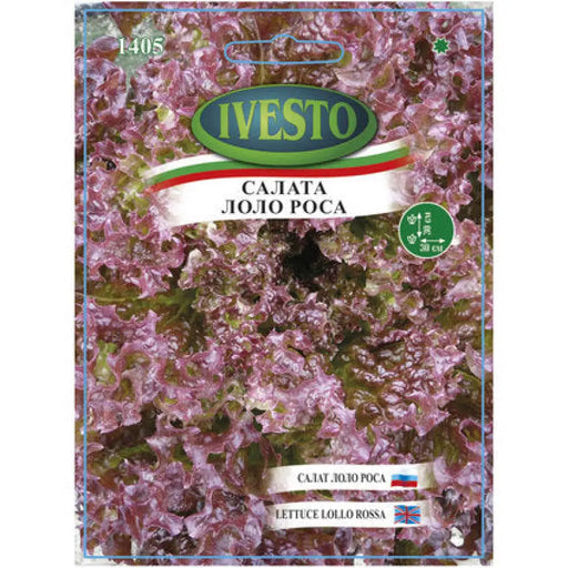 СЕМЕНА САЛАТА ЛОЛО РОСА IVESTO